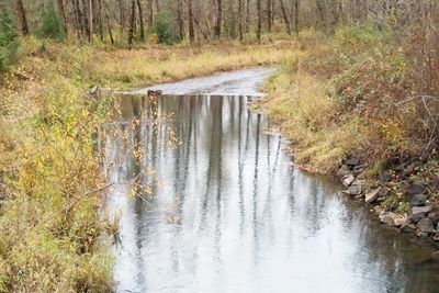 PICT0007.jpg