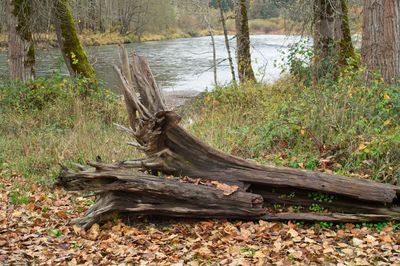 PICT0010.jpg