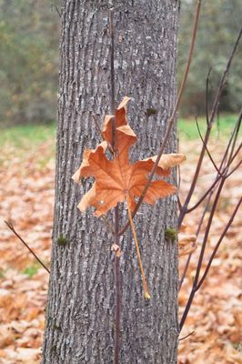 PICT0024 1.jpg