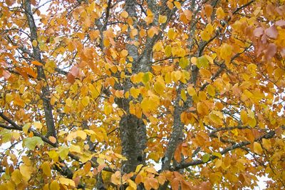 PICT0045.jpg