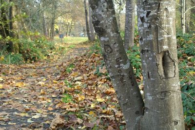 PICT0179.jpg