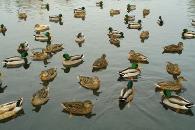 PICT0210.jpg