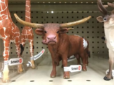 Long horn