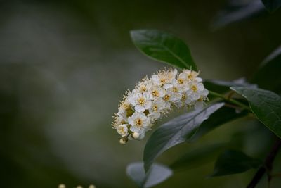 g13/64/944964/3/174567108.b878e7cb.JPEG