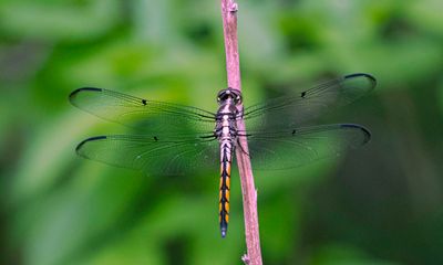 FJS_3696-3.jpg