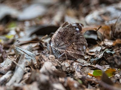 DSC_6476-Edit.jpg