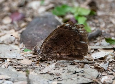 DSC_6484-Edit.jpg