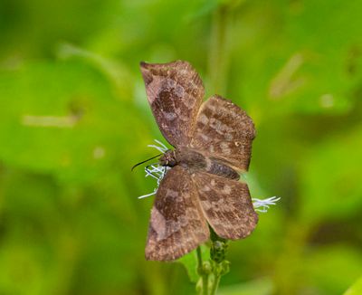DSC_6449-Edit-2.jpg