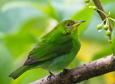 DSC_6820-2.jpg