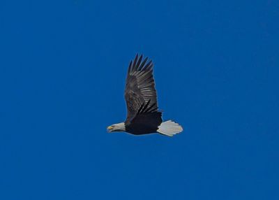 _DSC7465-2.jpg