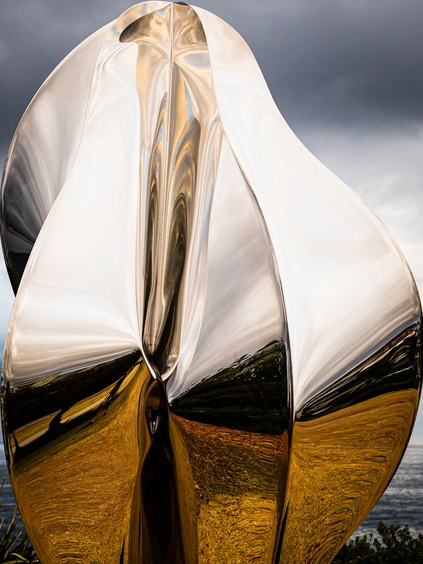 Reflections