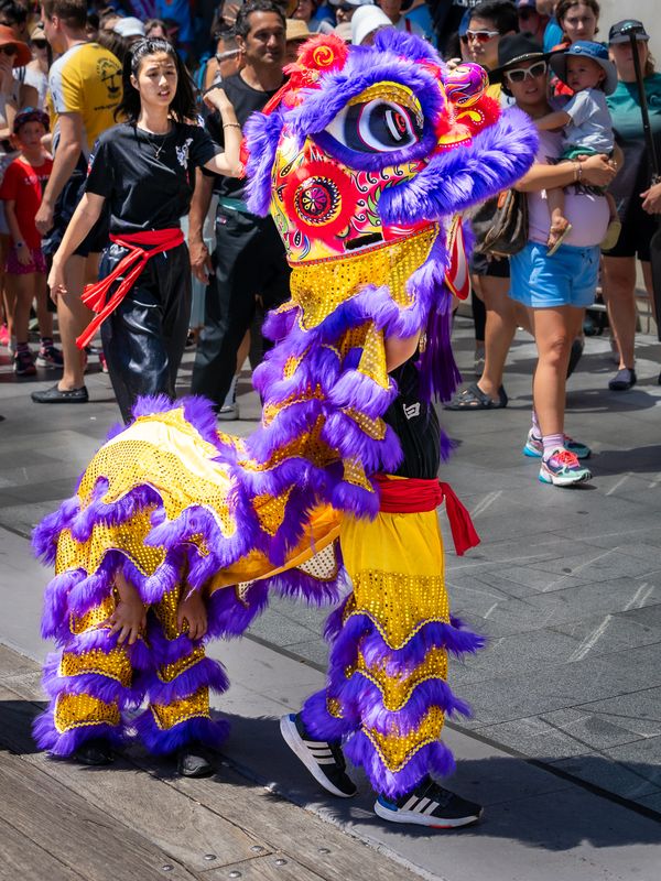 Lion Dance