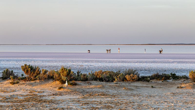 Lake Tyrrell