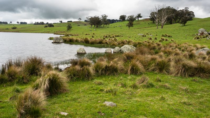 Oberon Dam