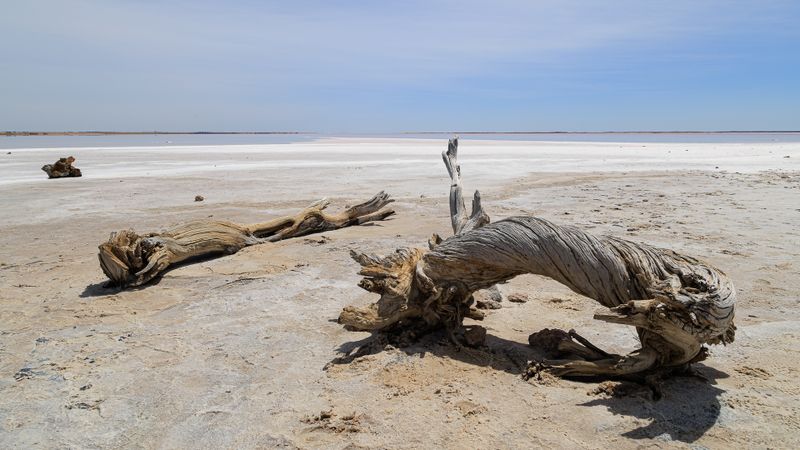 Lake Tyrrell