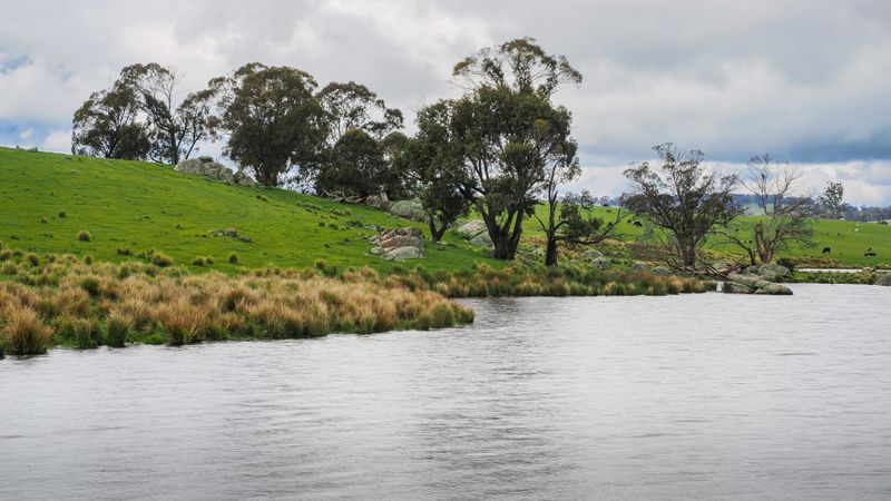 Oberon Dam