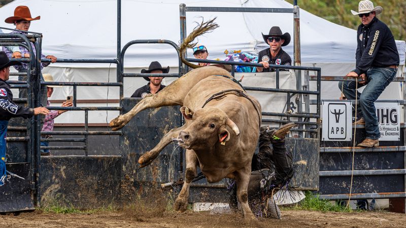Rider Down