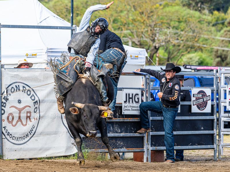 Riding High
