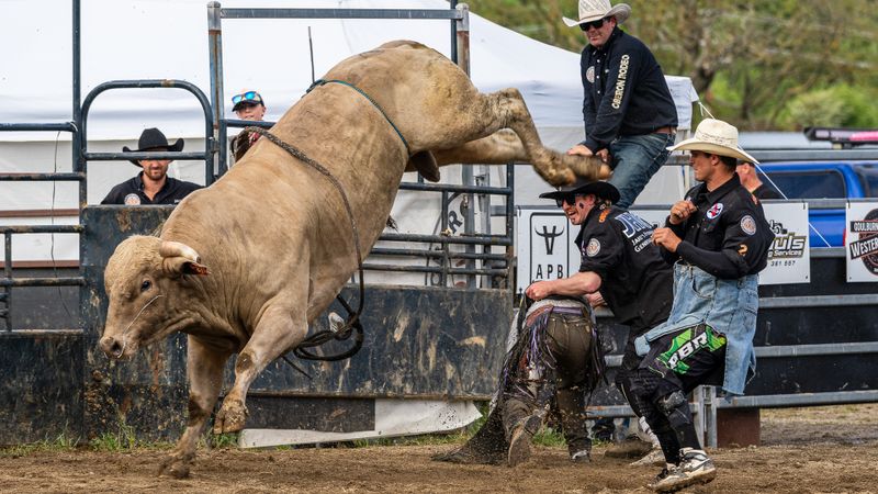 One Arm Handstanding Bull