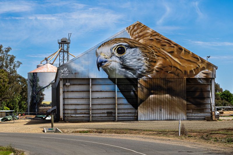 Goorambat Silo Art