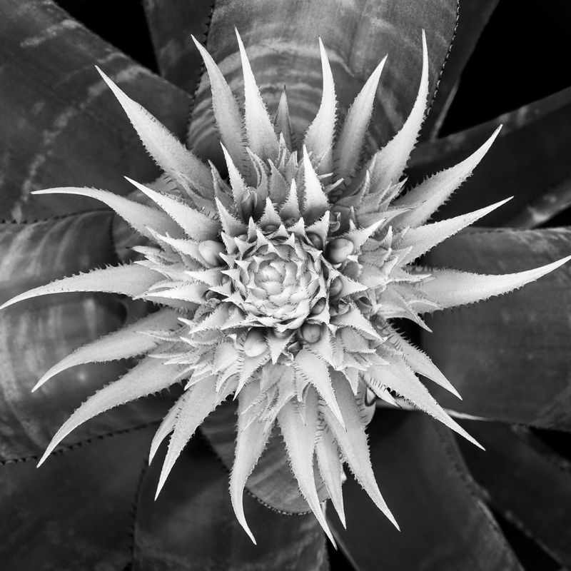 Almost Symmetry