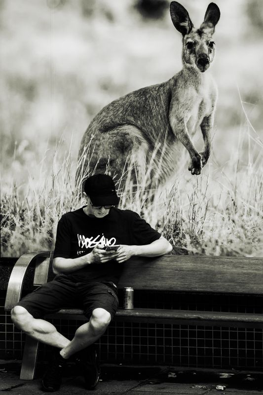 On a Sydney Street