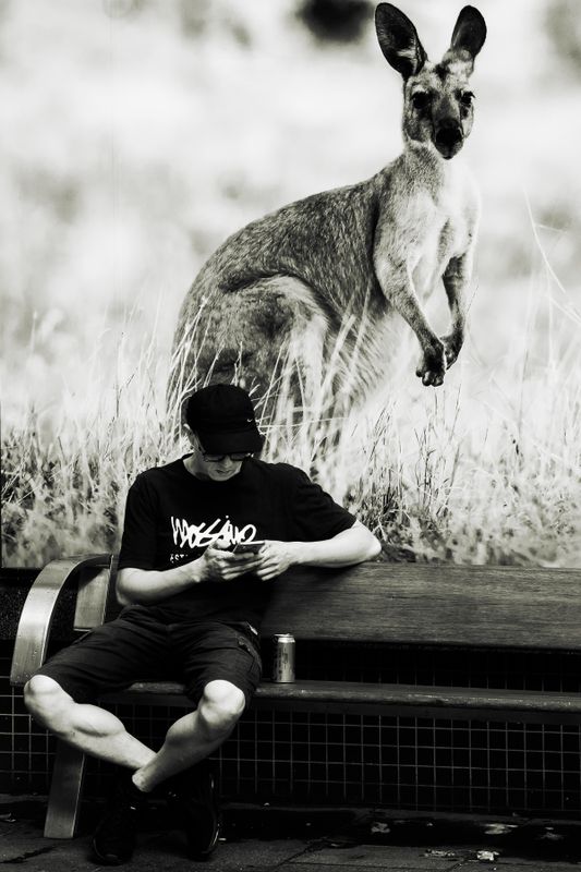 Life On Sydney Streets