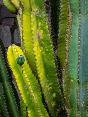 g13/65/1039165/3/174548843.0c58465a.JPEG