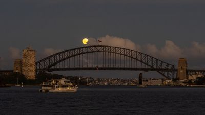 g13/65/1039165/3/175367603.a45e9c50.JPEG