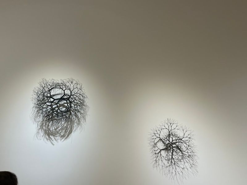 A8712A8A-E131-45B5-AFF2-FD85F58B96A2_1_105_c.jpeg