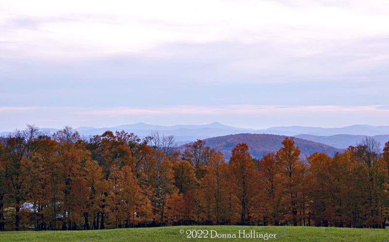 Looking toward Tunbridge from BrockelBank