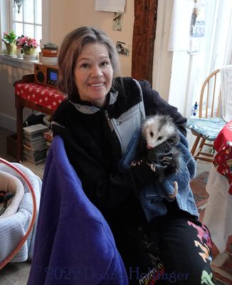 Tracey and the Opossum