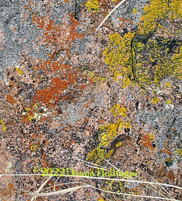 Rock Surface Molds