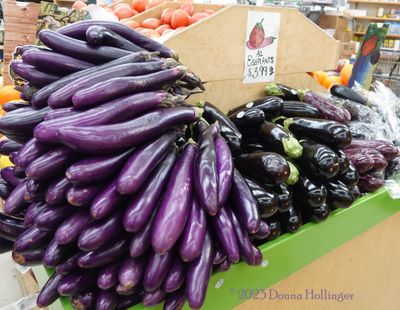 Five Different Eggplants