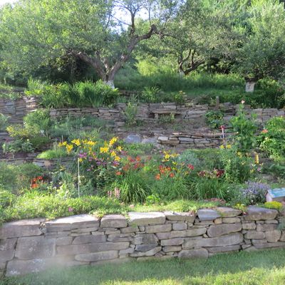 We call this our bank garden