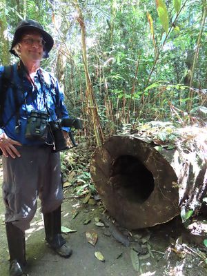Peter next to a huge log
