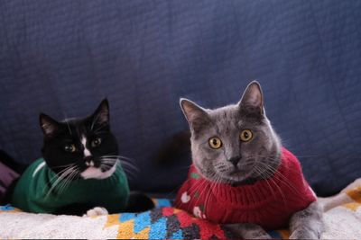 Zuko and Logan