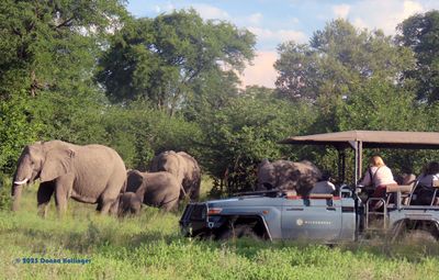 Our Other vehicle versus the 4 Elephants