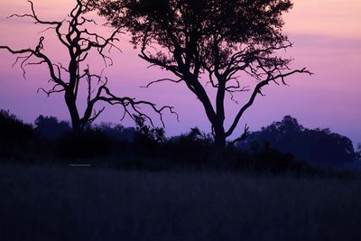 2025 Botswana Birding trip