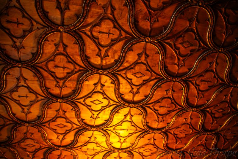 20080809_5833-Enhanced-NR copy.jpg