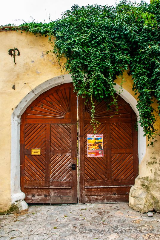 20080813_7099 copy.jpg
