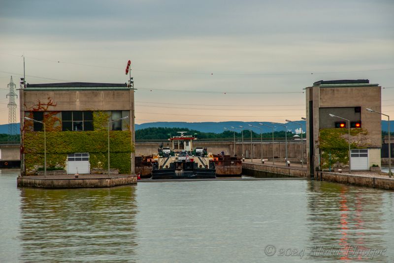 20080813_7277 copy.jpg