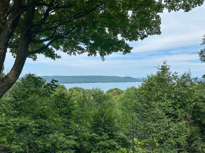 Michigan Road Trip