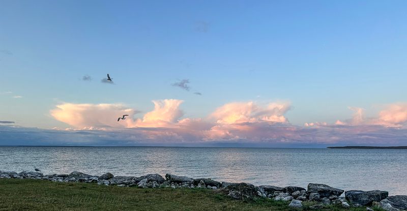 Michigan Road Trip