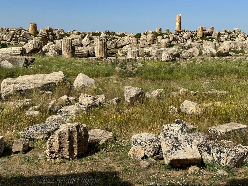 agrigento 7953.jpeg