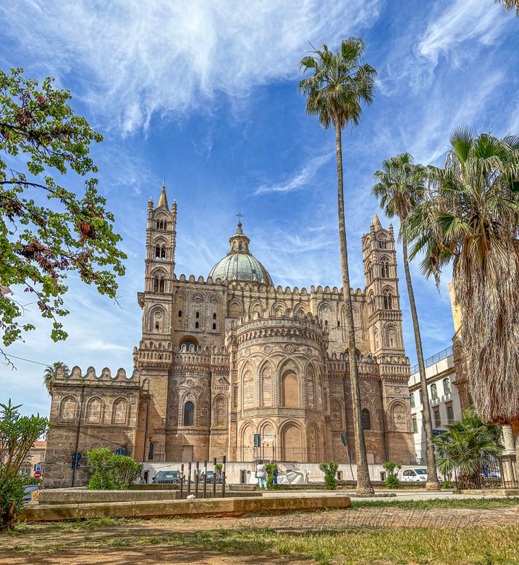 palermo886.jpeg