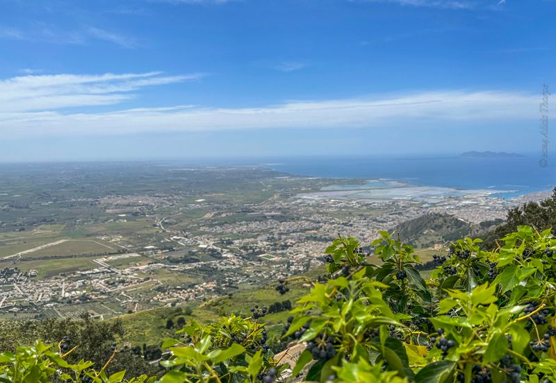Erice7375.jpeg