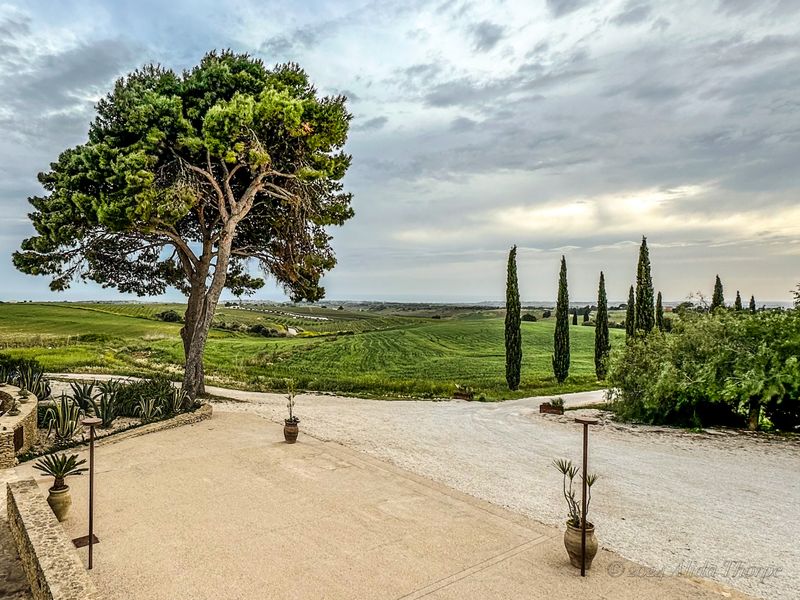 masseria carboj.jpeg