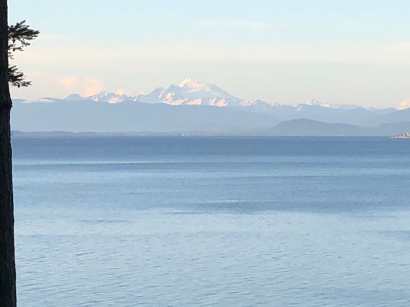 Mount Baker--we rarely have seen it so clearly