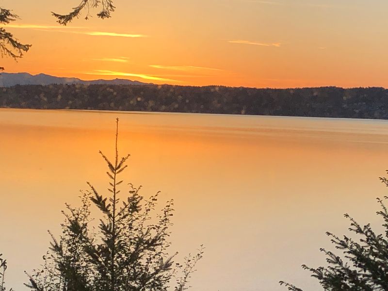 Penn Cove, 4 am